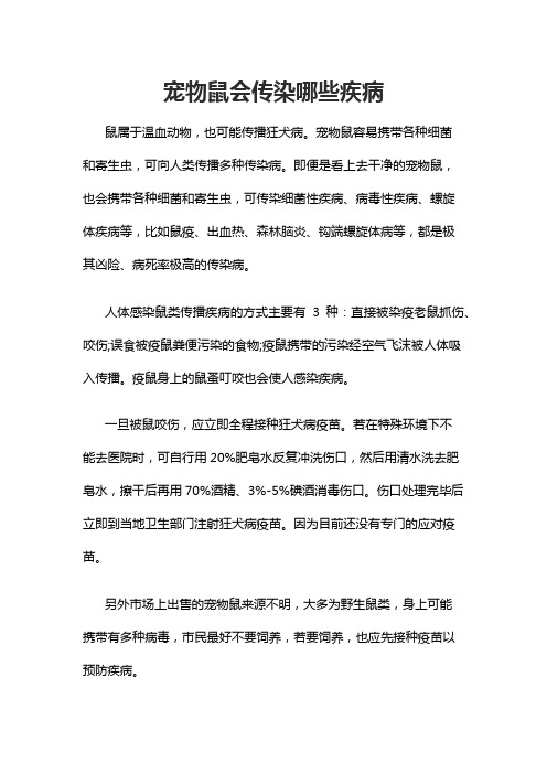 宠物鼠会传染哪些疾病
