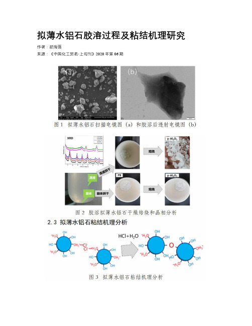 拟薄水铝石胶溶过程及粘结机理研究