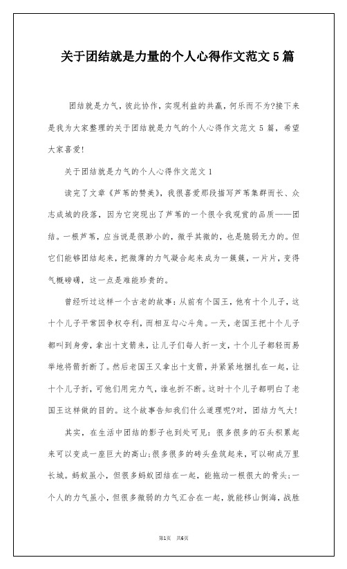 关于团结就是力量的个人心得作文范文5篇