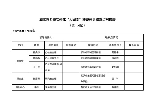 湖北省乡镇实体化大团委建设督导联系点对接表