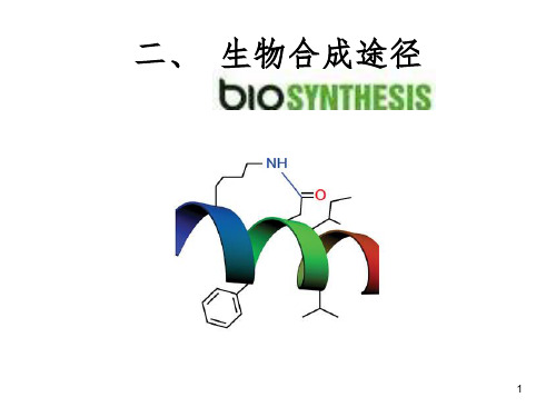 3 生物合成途径PPT精选文档