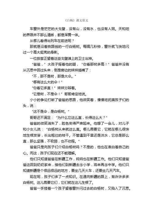 《白杨》课文原文