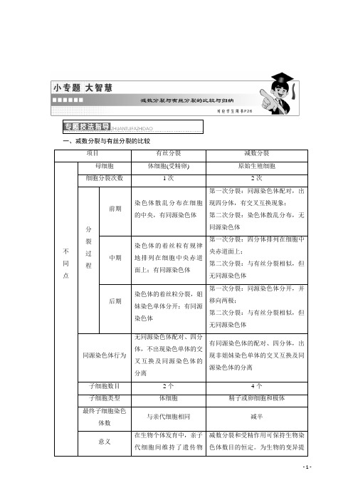 高中生物浙科版(浙江专版)：第二章 小专题 大智慧 减数分裂与有丝分裂的比较与归纳 Word版含答案