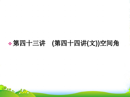 高考数学一轮总复习名师精讲 第43讲空间角课件