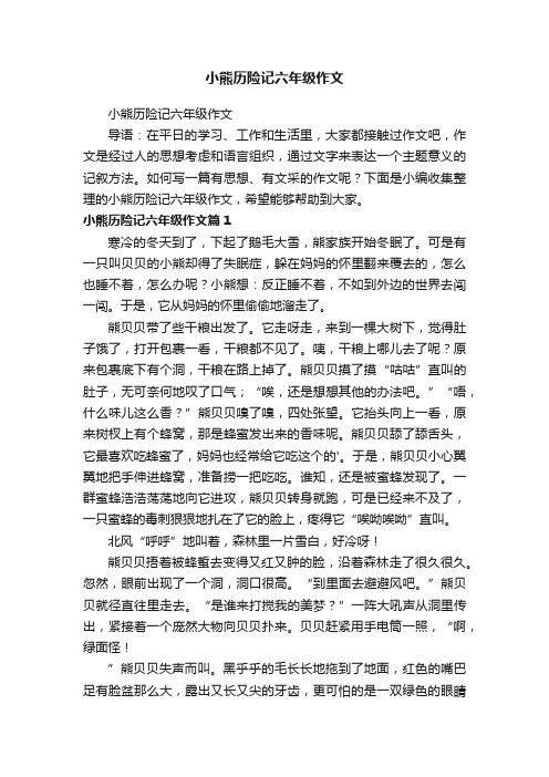 小熊历险记六年级作文