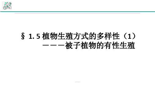 浙教版科学七年级下册植物生殖方式的多样性第1课时