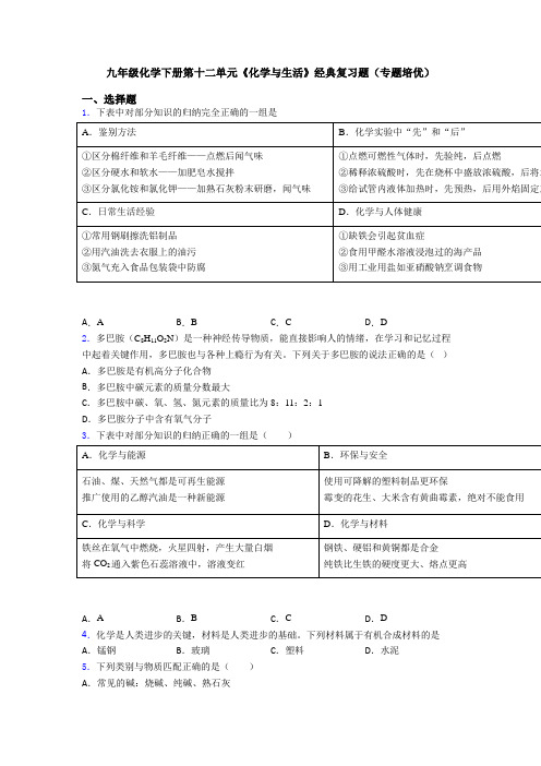 九年级化学下册第十二单元《化学与生活》经典复习题(专题培优)