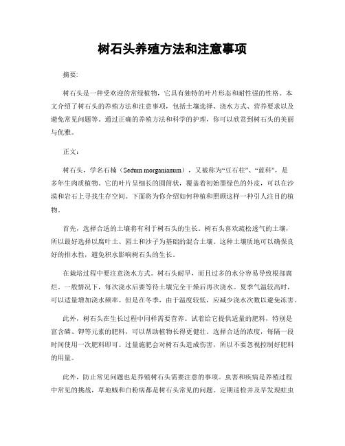 树石头养殖方法和注意事项