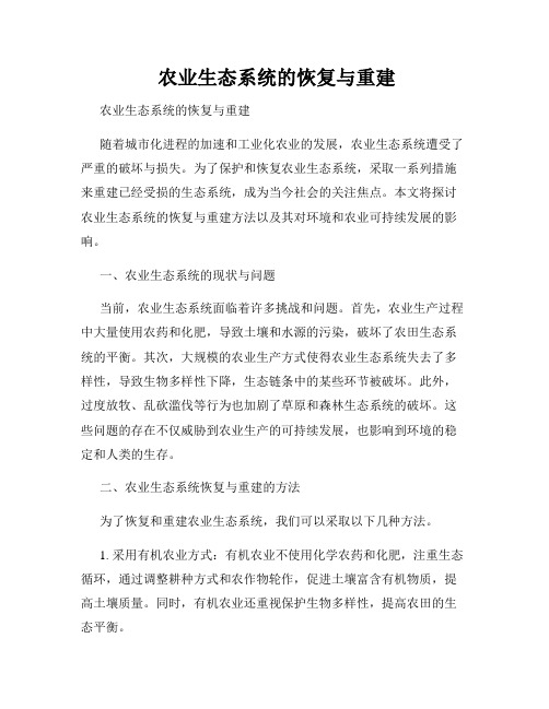  农业生态系统的恢复与重建