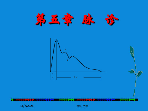 中医脉诊专题课件