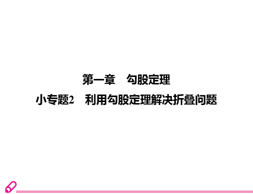 小专题2  利用勾股定理解决折叠问题