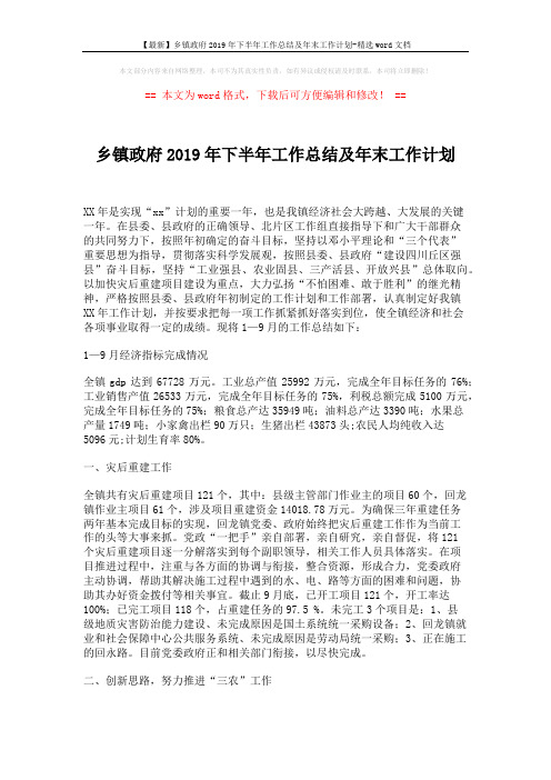 【最新】乡镇政府2019年下半年工作总结及年末工作计划-精选word文档 (6页)