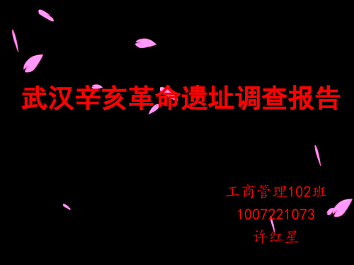 武汉辛亥革命遗址调查报告