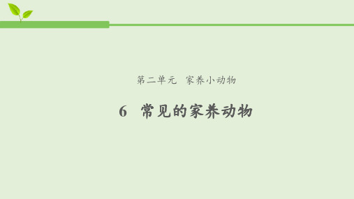 人教鄂版小学科学一年级上册6 常见的家养动物 课件