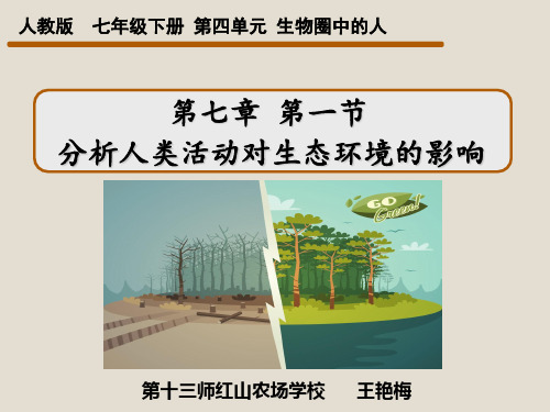 人教版七下第七章第一节分析 人类活动对生态环境的影响 课件(共24张PPT)