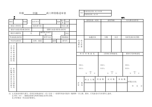 申报政工师资格送审表