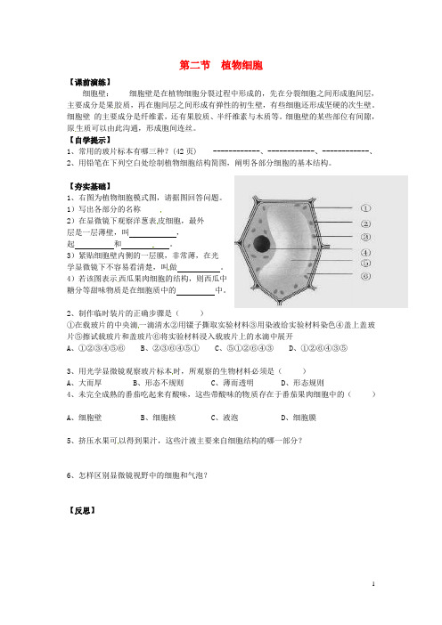 辽宁省东港市小甸子中学七年级生物上册 2.1.2 植物细胞研学案(无答案)(新版)新人教版