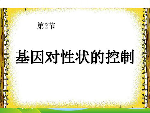 人教版高中生物必修二课件：4.2 基因对性状的控制 (共21张PPT)