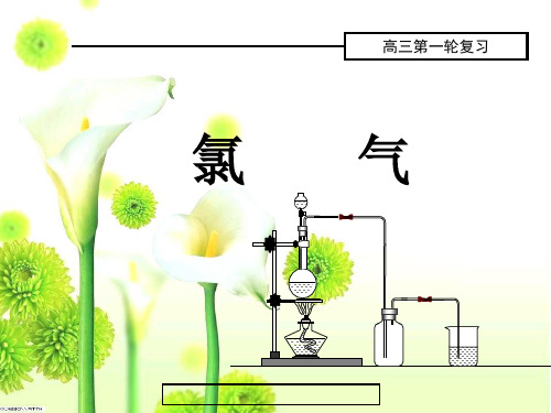 高中化学 氯气公开课课件第一课时课件 新人教版