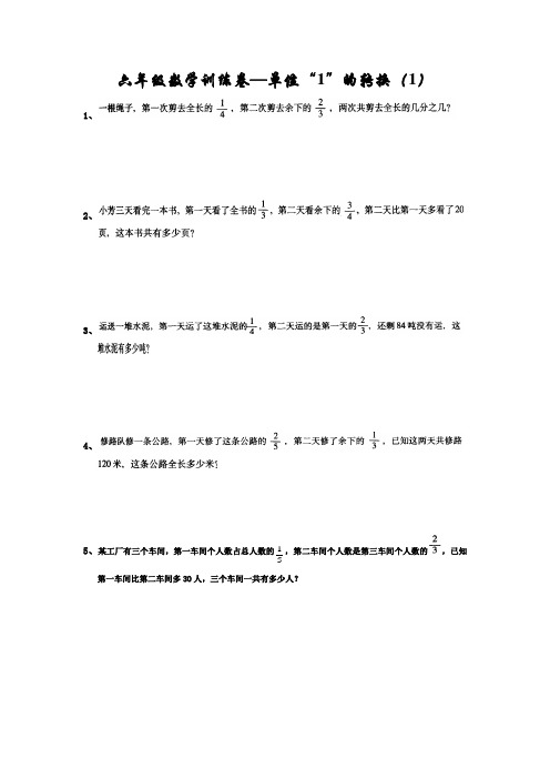 人教版小学六年级下册数学专题训练试题 全套