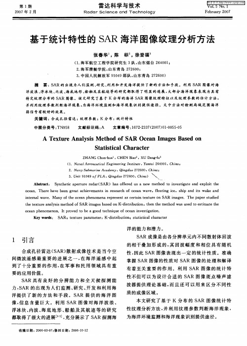 基于统计特性的SAR海洋图像纹理分析方法