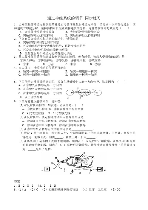 高中生物通过神经系统的调节 同步练习3新课标 人教版 必修3
