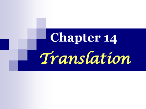 分子生物学英文课件：CHAPTER 14 Translation