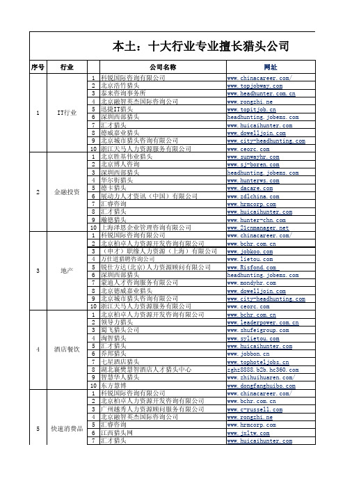 十大行业本土专业猎头公司