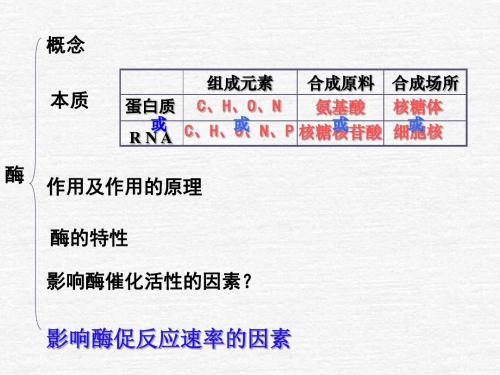 细胞的能量“通货”——ATPppt31 优秀课件