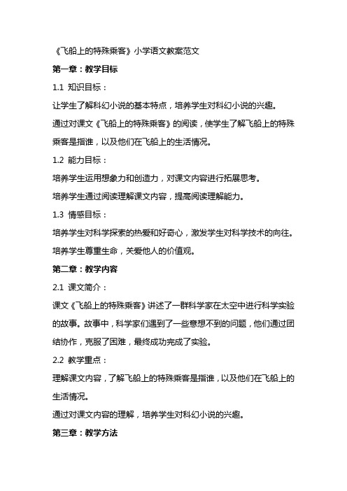 《飞船上的特殊乘客》小学语文教案范文