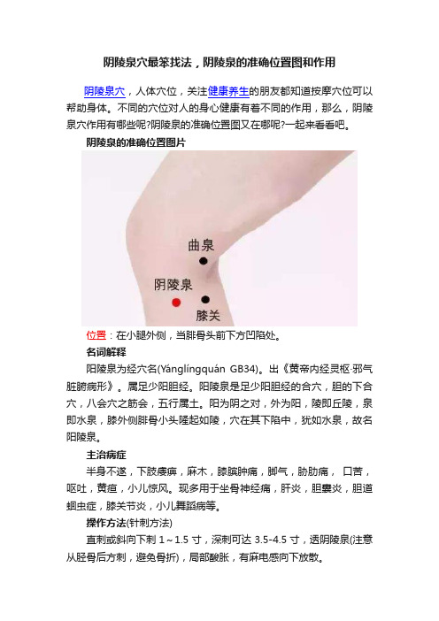 阴陵泉穴最笨找法，阴陵泉的准确位置图和作用