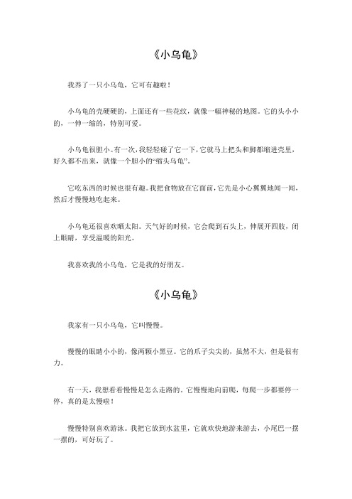 一年级小乌龟作文50字