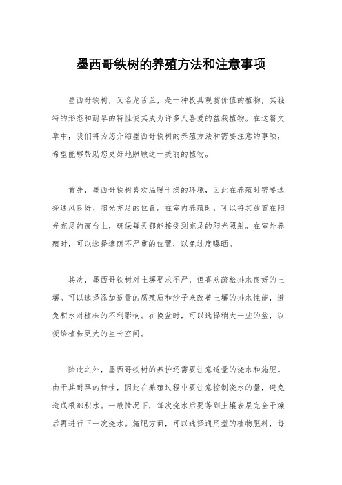 墨西哥铁树的养殖方法和注意事项