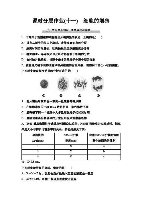 人教版高考生物一轮复习课时分层作业11细胞的增殖含答案