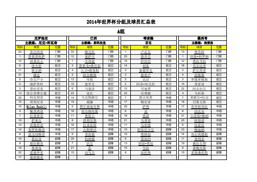 2014年巴西世界杯球员名单(带球衣号)