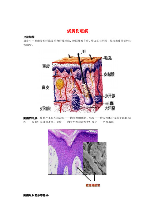 烧烫伤疤痕