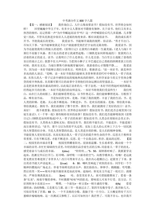 中考满分作文800字八篇