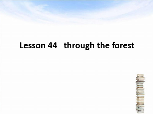 新概念英语第二册课件Lesson44(共12页)