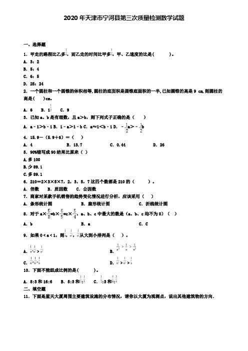 2020年天津市宁河县第三次质量检测数学试题