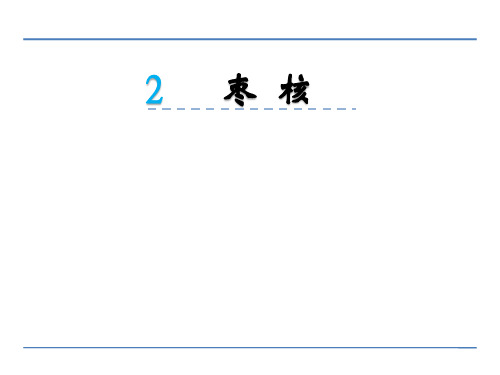 六年级上册语文课件2枣核 北京版(共24张PPT)