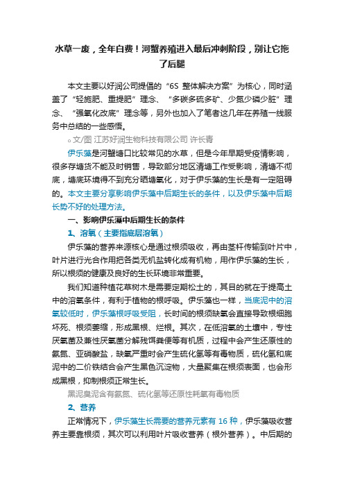 水草一废，全年白费！河蟹养殖进入最后冲刺阶段，别让它拖了后腿