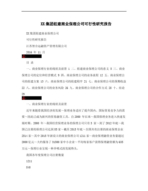 XX集团组建商业保理公司可行性研究报告