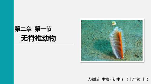 (RJ)七年级生物上册第2单元  多种多样的生物第一节 无脊椎动物(1)