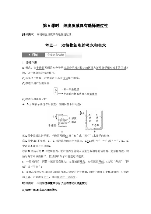 2024届高考一轮复习生物教案(苏教版)：细胞质膜具有选择透过性