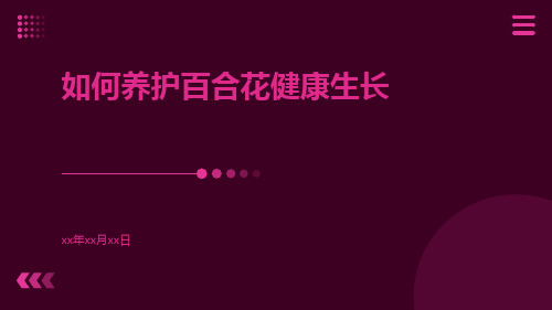 如何养护百合花健康生长