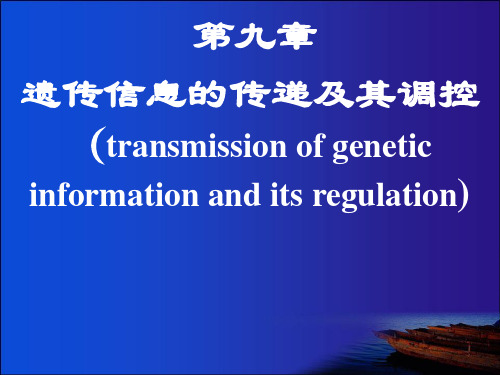 细胞生物学课件遗传信息的传递及其调控