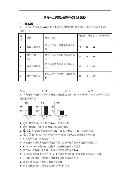 新高一上学期生物期末试卷(含答案)