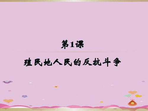 人教部编版九年级历史下册第1课 殖民地人民的反抗斗争课件(共17张PPT)优质课件