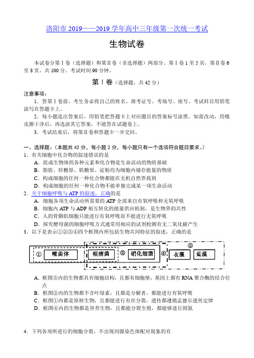 洛阳市2019学年高中三年级第一次统一考试生物试卷