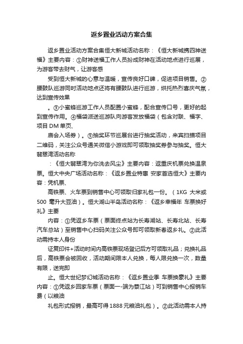 返乡置业活动方案合集